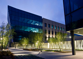 The Campus – Playa Vista