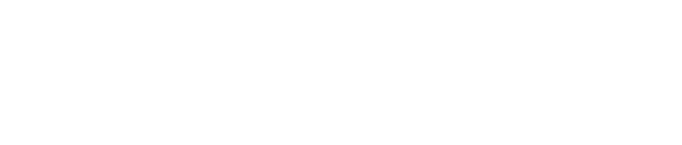 Nabih Youssef Associates Structural Engineers